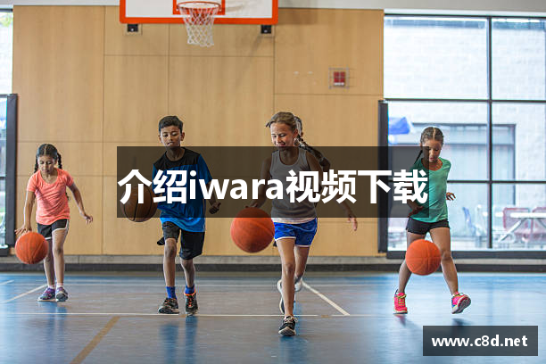 介绍iwara视频下载